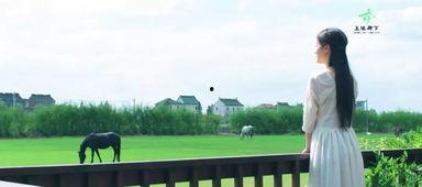 廊下瞬间在线视频,捕捉时光流转的精彩瞬间